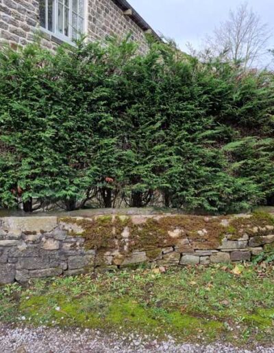 Conversion of Garage to Kitchen in Little Padfield